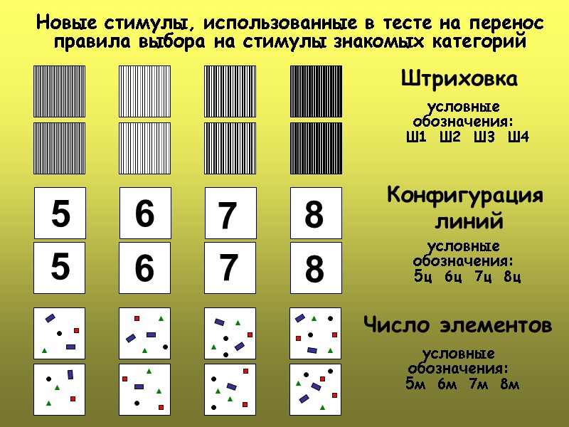 Конфигурация  линий  Число элементов Штриховка  условные обозначения:  Ш1  Ш2